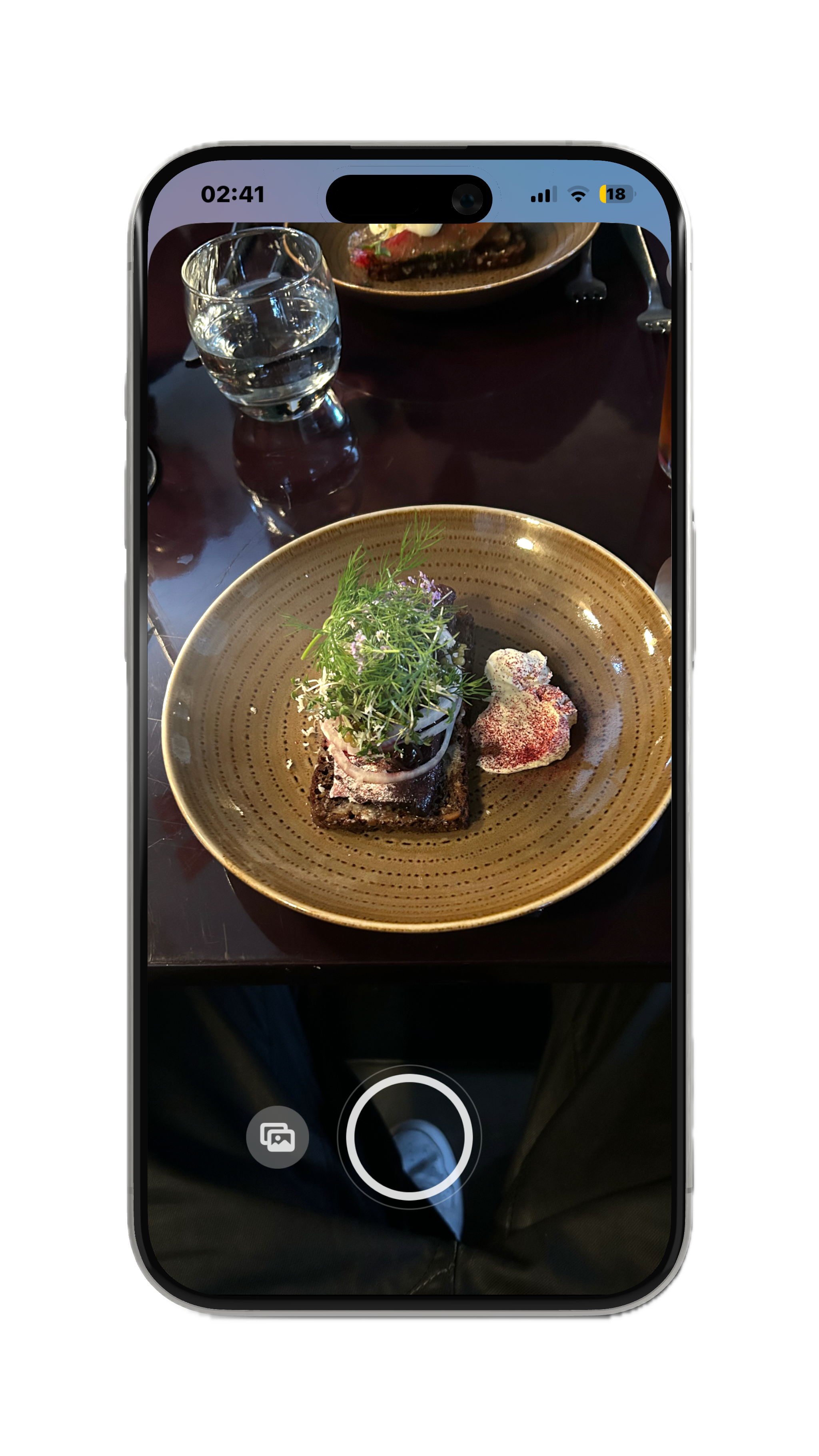 Kalí app camera view capturing Smørrebrød